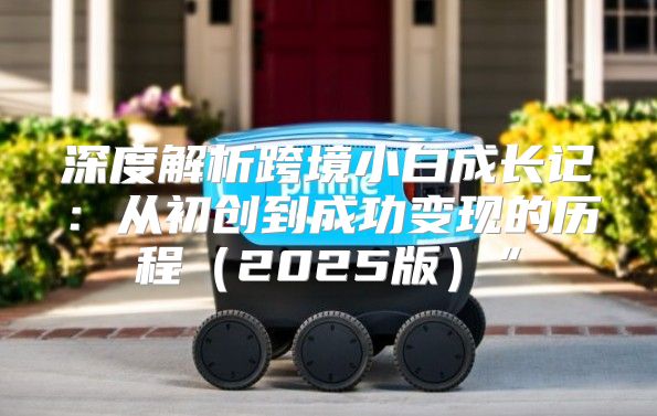 深度解析跨境小白成长记：从初创到成功变现的历程2025版”