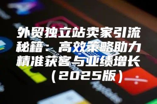 外贸独立站卖家引流秘籍：高效策略助力精准获客与业绩增长2025版