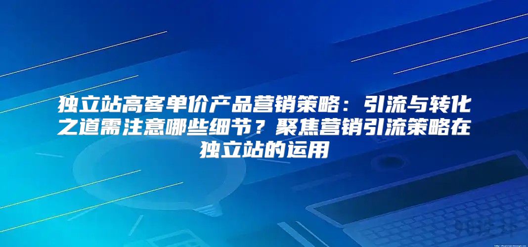 独立站高客单价产品营销策略：引流与转化之道需注意哪些细节？聚焦营销引流策略在独立站的运用