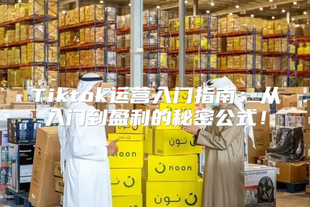 Tiktok运营入门指南：从入门到盈利的秘密公式！
