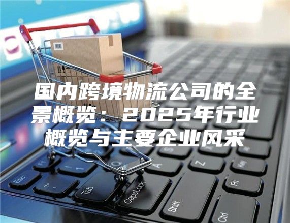 国内跨境物流公司的全景概览：2025年行业概览与主要企业风采