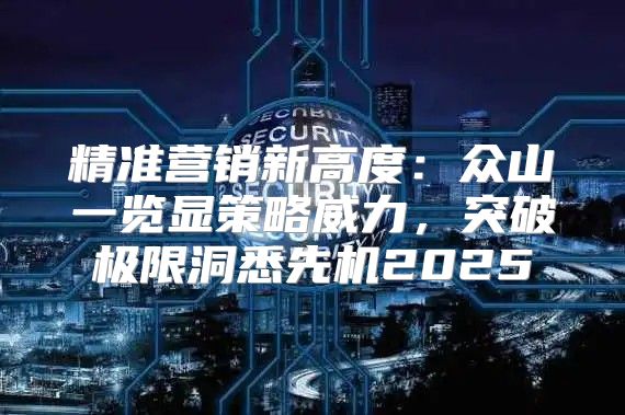 精准营销新高度：众山一览显策略威力，突破极限洞悉先机2025