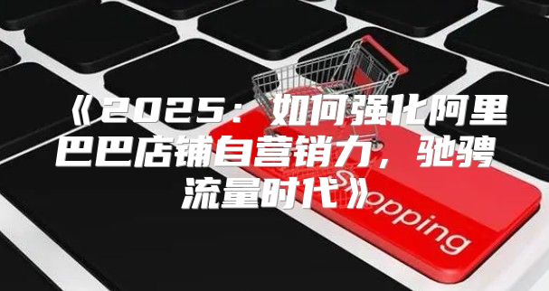 2025如何强化阿里巴巴店铺自营销力，驰骋流量时代
