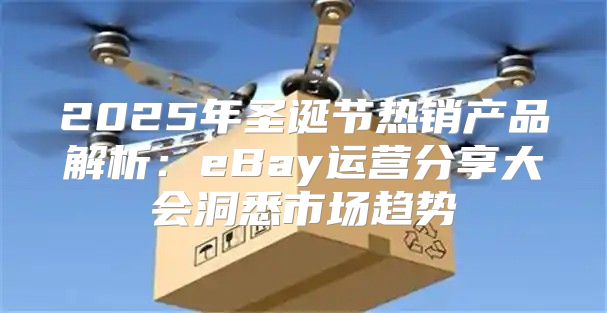 2025年圣诞节热销产品解析：eBay运营分享大会洞悉市场趋势
