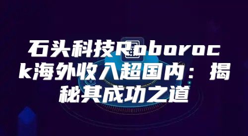 石头科技Roborock海外收入超国内：揭秘其成功之道