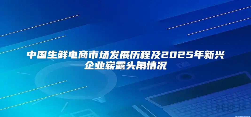 中国生鲜电商市场发展历程及2025年新兴企业崭露头角情况
