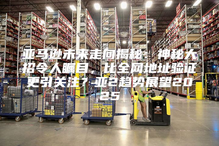 亚马逊未来走向揭秘：神秘大招令人瞩目，比全网地址验证更引关注？亚2趋势展望2025