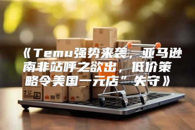 Temu强势来袭，亚马逊南非站呼之欲出，低价策略令美国一元店”失守