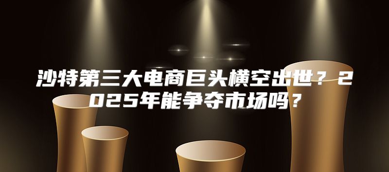 沙特第三大电商巨头横空出世？2025年能争夺市场吗？