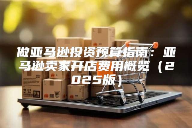 做亚马逊投资预算指南：亚马逊卖家开店费用概览2025版