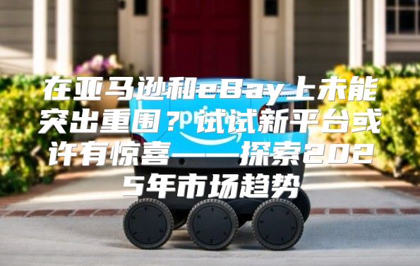 在亚马逊和eBay上未能突出重围？试试新平台或许有惊喜——探索2025年市场趋势