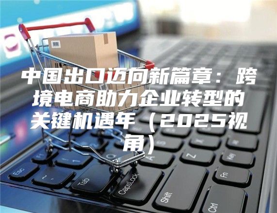 中国出口迈向新篇章：跨境电商助力企业转型的关键机遇年2025视角