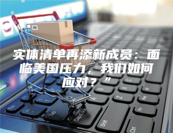 实体清单再添新成员：面临美国压力，我们如何应对？”
