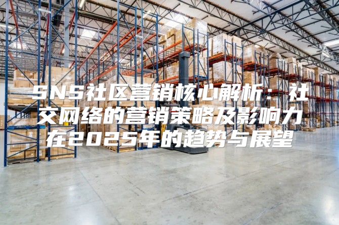 SNS社区营销核心解析：社交网络的营销策略及影响力在2025年的趋势与展望