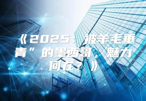 2025被羊毛垂青”的墨西哥，魅力何在？