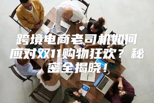 跨境电商老司机如何应对双11购物狂欢？秘密全揭晓！