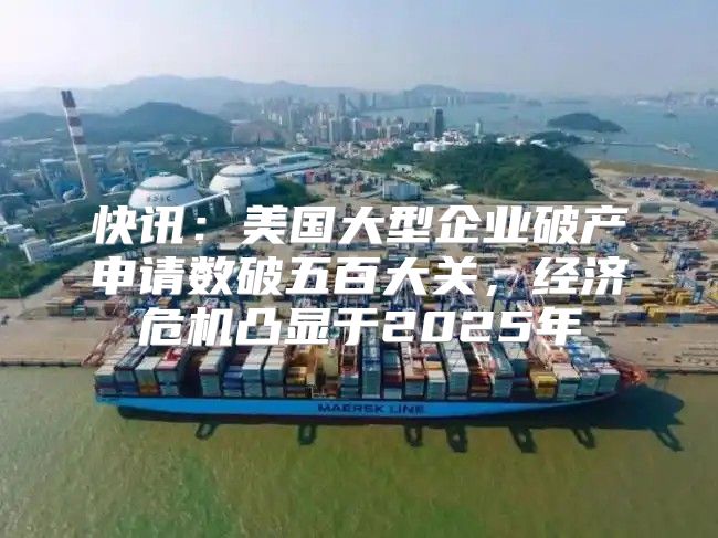快讯：美国大型企业破产申请数破五百大关，经济危机凸显于2025年