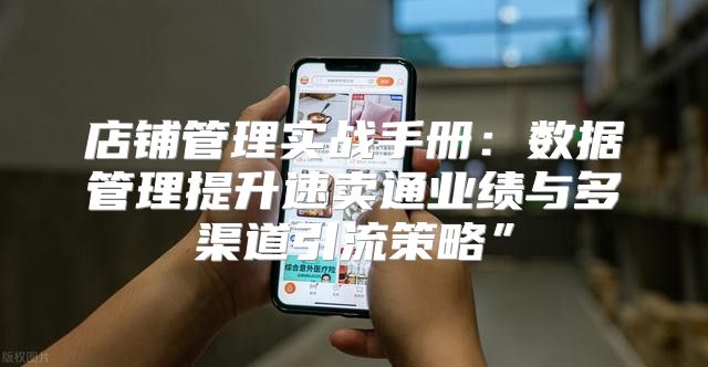 店铺管理实战手册：数据管理提升速卖通业绩与多渠道引流策略”
