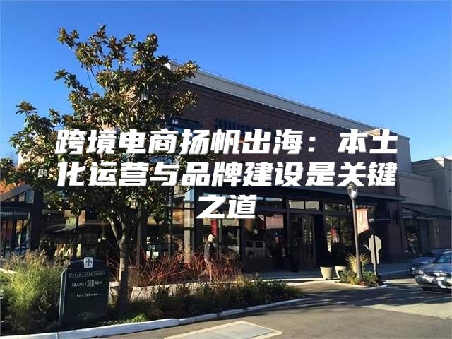 跨境电商扬帆出海：本土化运营与品牌建设是关键之道