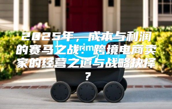2025年，成本与利润的赛马之战：跨境电商卖家的经营之道与战略抉择？