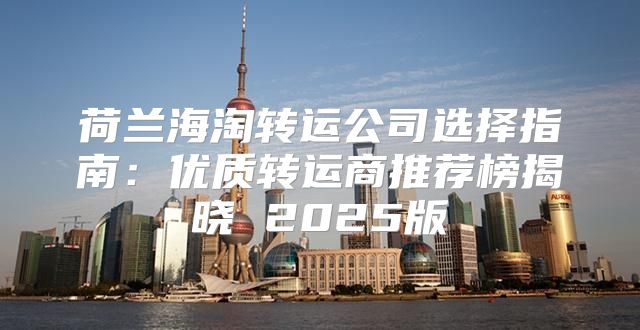 荷兰海淘转运公司选择指南：优质转运商推荐榜揭晓 2025版