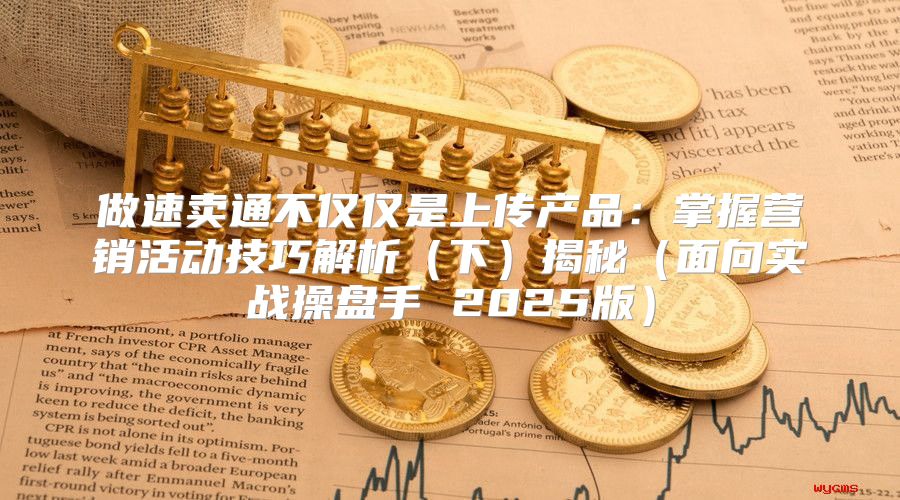 做速卖通不仅仅是上传产品：掌握营销活动技巧解析下揭秘面向实战操盘手 2025版
