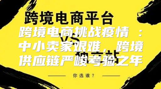 跨境电商挑战疫情⑨：中小卖家艰难，跨境供应链严峻考验之年