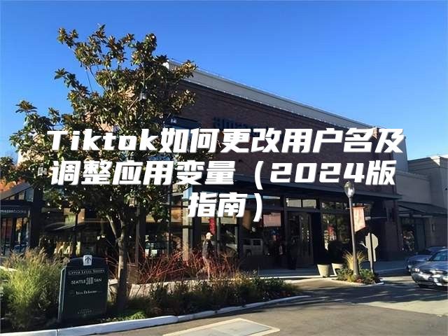 Tiktok如何更改用户名及调整应用变量2025版指南