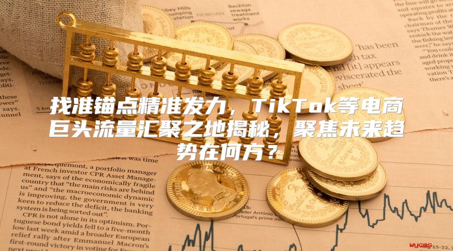 找准锚点精准发力，TikTok等电商巨头流量汇聚之地揭秘，聚焦未来趋势在何方？