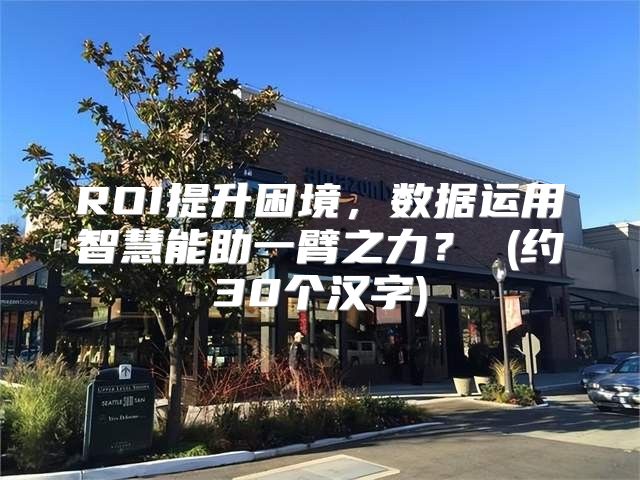 ROI提升困境，数据运用智慧能助一臂之力？ (约30个汉字)