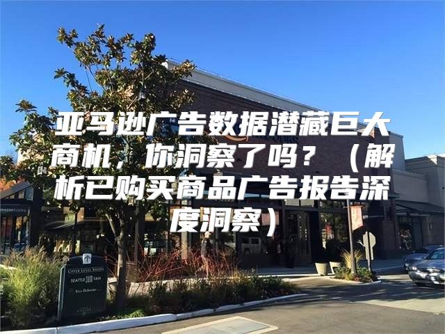 亚马逊广告数据潜藏巨大商机，你洞察了吗？解析已购买商品广告报告深度洞察