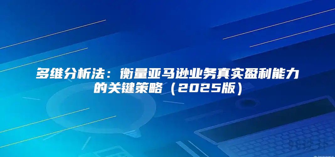 多维分析法：衡量亚马逊业务真实盈利能力的关键策略2025版