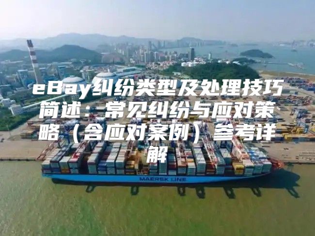 eBay纠纷类型及处理技巧简述：常见纠纷与应对策略含应对案例参考详解