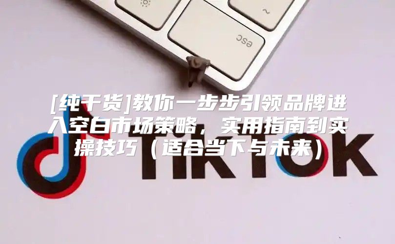 [纯干货]教你一步步引领品牌进入空白市场策略，实用指南到实操技巧适合当下与未来