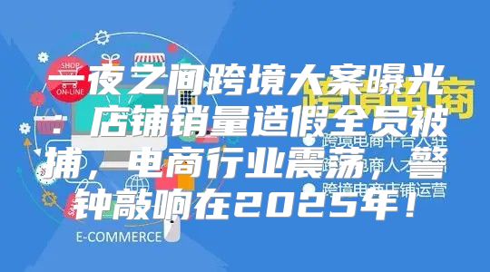 一夜之间跨境大案曝光：店铺销量造假全员被捕，电商行业震荡，警钟敲响在2025年！