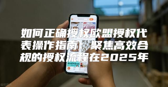 如何正确授权欧盟授权代表操作指南：聚焦高效合规的授权流程在2025年