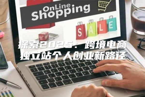 探索2025跨境电商独立站个人创业新路径