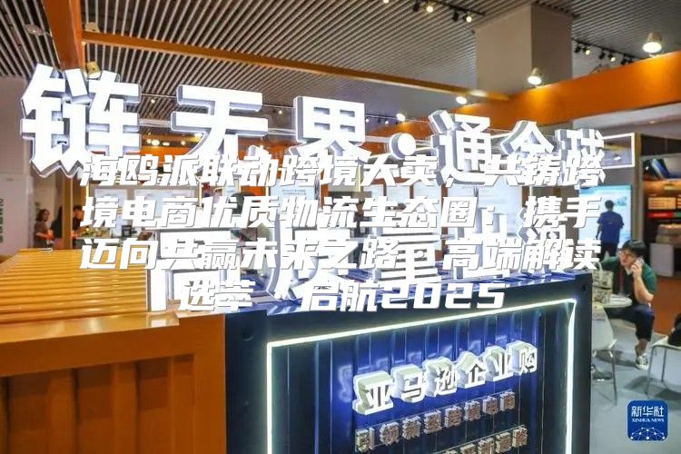 海鸥派联动跨境大卖，共铸跨境电商优质物流生态圈：携手迈向共赢未来之路·高端解读选萃·启航2025