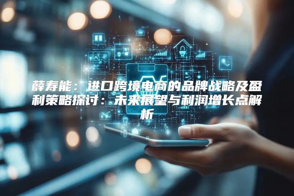 薛寿能：进口跨境电商的品牌战略及盈利策略探讨：未来展望与利润增长点解析
