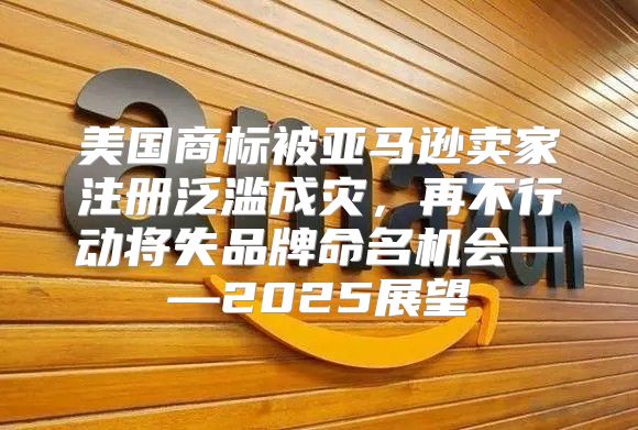 美国商标被亚马逊卖家注册泛滥成灾，再不行动将失品牌命名机会——2025展望