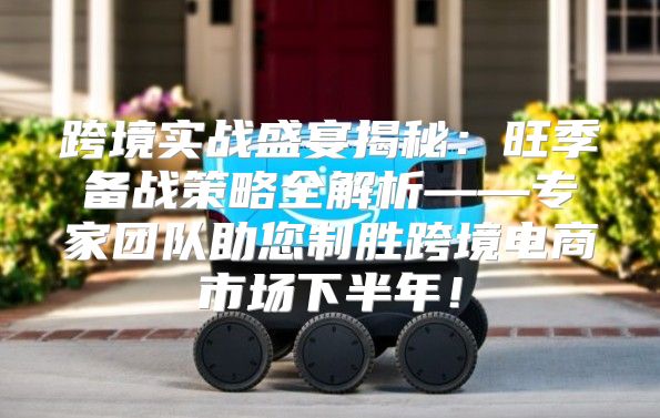 跨境实战盛宴揭秘：旺季备战策略全解析——专家团队助您制胜跨境电商市场下半年！