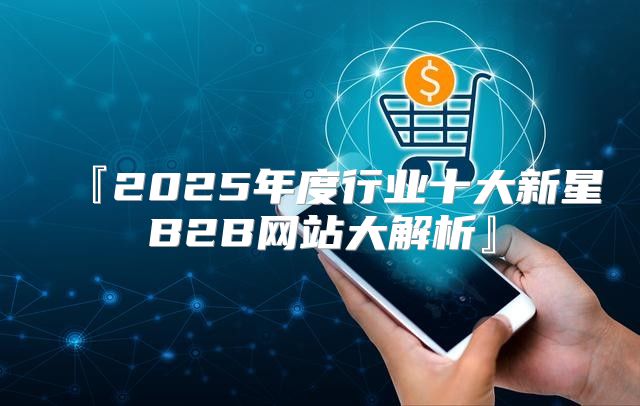 『2025年度行业十大新星B2B网站大解析』