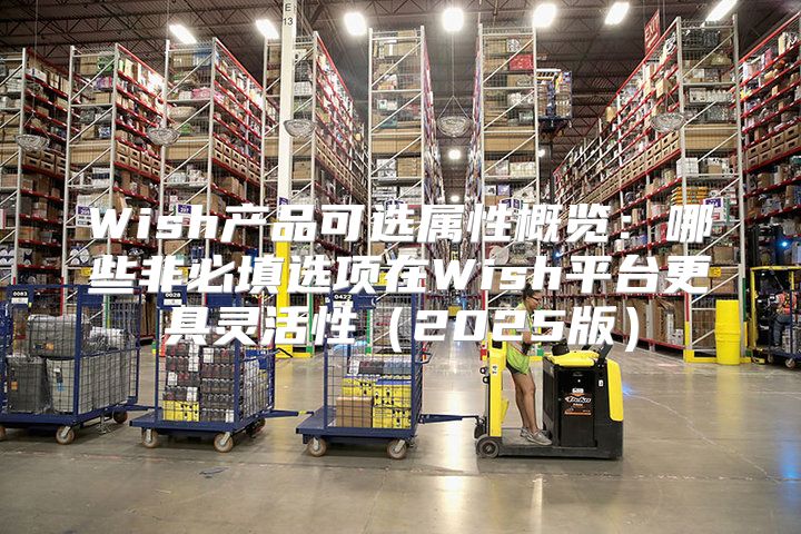 Wish产品可选属性概览：哪些非必填选项在Wish平台更具灵活性2025版