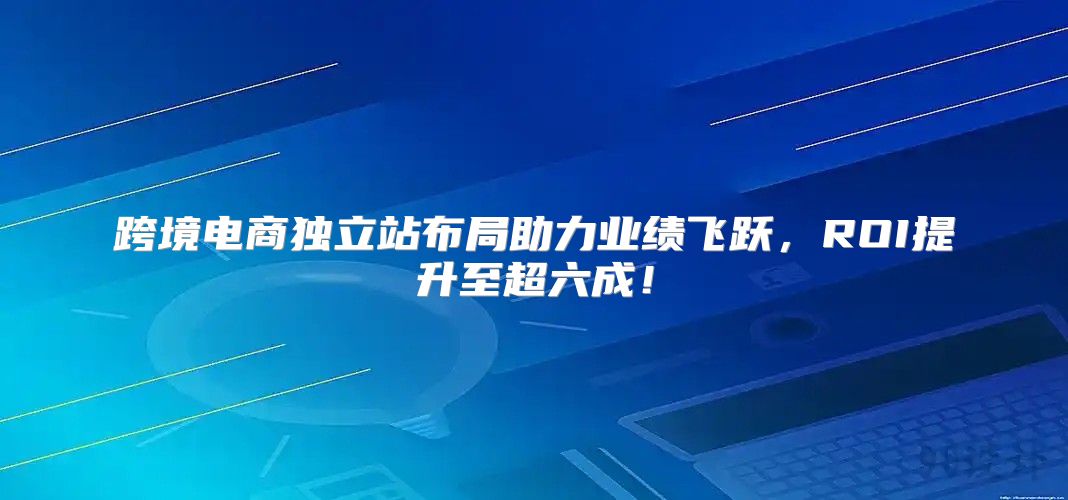 跨境电商独立站布局助力业绩飞跃，ROI提升至超六成！
