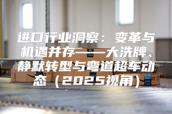 进口行业洞察：变革与机遇并存——大洗牌、静默转型与弯道超车动态2025视角