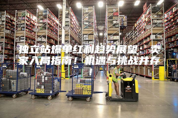 独立站爆单红利趋势展望：卖家入局指南！机遇与挑战并存！