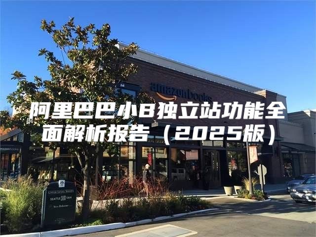 阿里巴巴小B独立站功能全面解析报告2025版