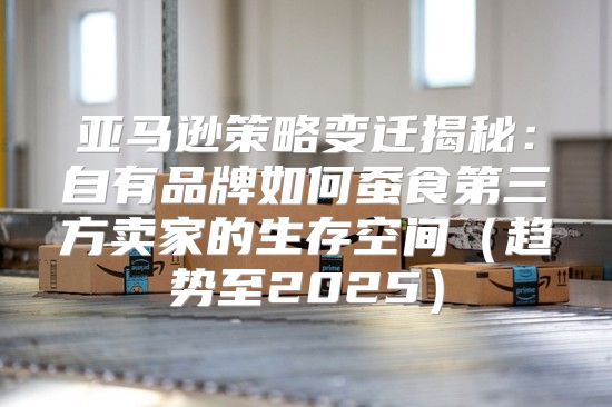 亚马逊策略变迁揭秘：自有品牌如何蚕食第三方卖家的生存空间趋势至2025