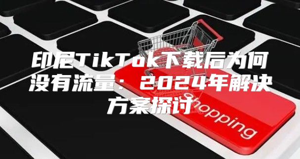 印尼TikTok下载后为何没有流量：2025年解决方案探讨
