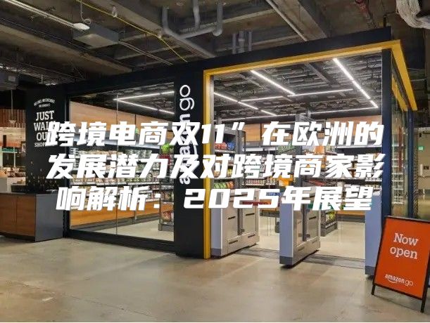 跨境电商双11”在欧洲的发展潜力及对跨境商家影响解析：2025年展望
